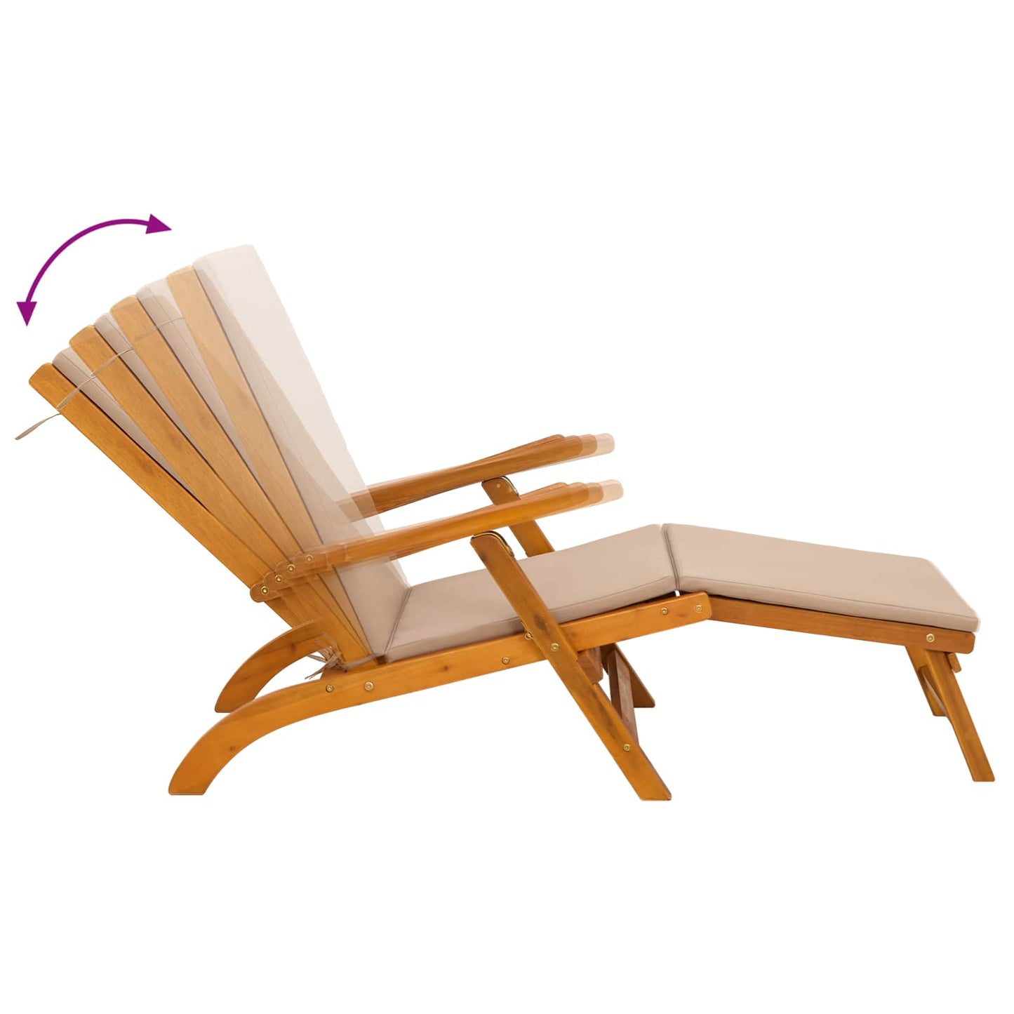 Liegestuhl zum Verstellen und Klappen 2 pcs 55 x 146 x 91 cm