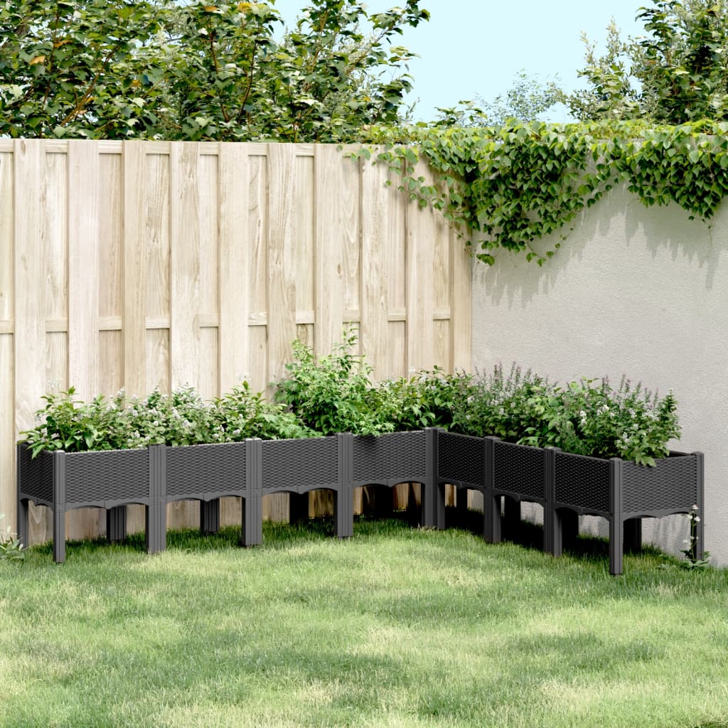 Pflanzkasten mit Beinen Schwarz 200x160x42 cm PP