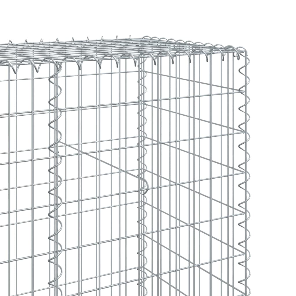 Gabione mit Deckel 600x50x200 cm Verzinktes Eisen