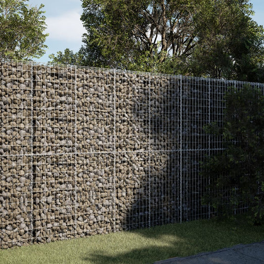 Gabione mit Deckel 250x100x200 cm Verzinktes Eisen