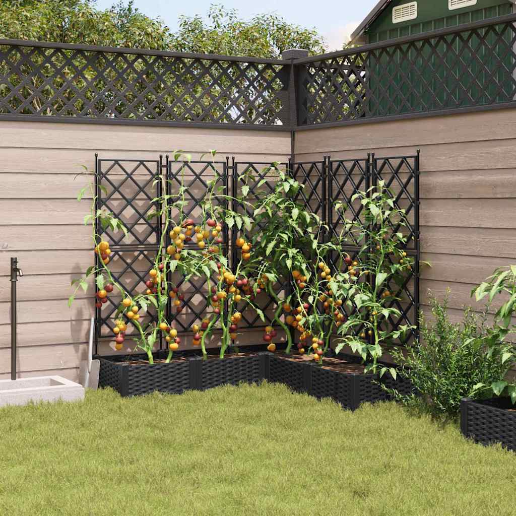 Garten-Pflanzgefäß 5 pcs Schwarz 120 x 120 x 125,5 cm