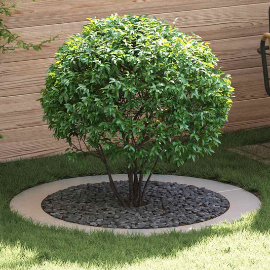 geeignet für flache Baumringe 5 pcs Silber Ø90 / 120 cm Edelstahl