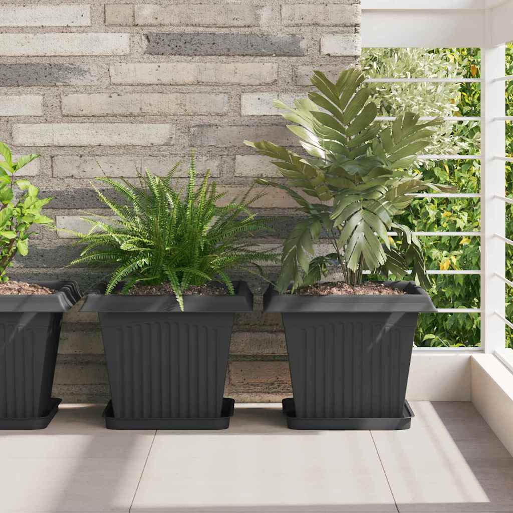 Quadratischer Blumentopf 24 pcs Schwarz 33 x 33 x 26 cm