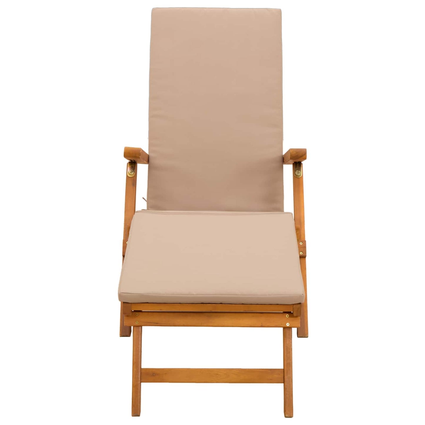 Liegestuhl zum Verstellen und Klappen 2 pcs 55 x 146 x 91 cm